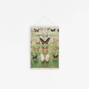 Butterfly Wall Art, Boho Decor, Regalo per lei Farfalle immagine 4