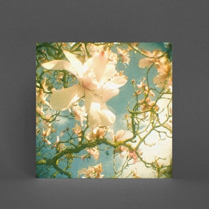 Dark Floral Grußkarte - Magnolia