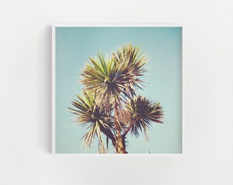 Tropical Palm Tree Print: Retro Wall Art