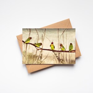 Biglietto d'auguri con uccellini colorati, biglietto per gli amanti della natura - Inseparabili