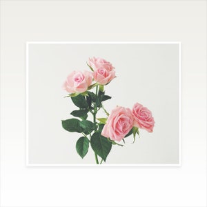 Bedroom Wall Decor, Flower Wall Art, Pastel Pink Decor, Large Wall Art Spring Roses image 7