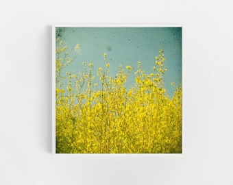 Yellow Flower Print, Spring Flower Photography - Summer