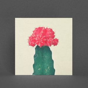 Tarjeta de cactus, tarjeta de felicitación botánica - cactus a cuadros rojos