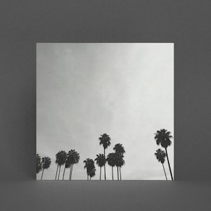Palm Tree Karte, schwarz-weiße Karten - Palm Silhouetten