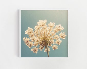 Queen Annes Lace, Rustiek Decor, Shabby Chic Wall Art, Home Decor - Queen Anne's Lace