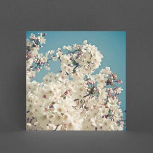 Carte de voeux de fleurs de cerisier, carte de fleurs - bourgeons en mai
