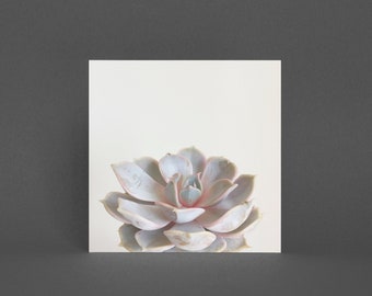 Succulent Card, Floral Card - Pink Succulent