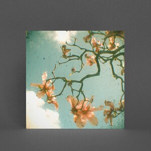 Florale Grußkarte - Sweet Magnolia