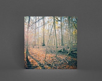 Tree Greeting Card, Autumn Nature Card - The Forest