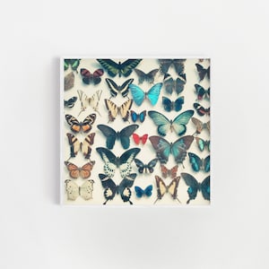 Butterfly Print, Bedroom Wall Decor, Butterfly Decor Wings image 1