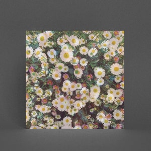 Carte de vœux florale, Daisy Card - Daisy Garden
