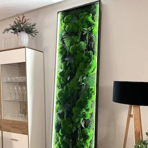 Rainforest Preserved Moss Wall Art LED Frame – Illuminated Vertical Garden Decor | Zero Care, Custom Sizes