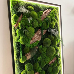 Preserved Moss LED Wall Art | Eco-Friendly Wall Decor | Zero Care, Custom Sizes