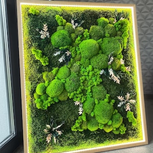 LED Moss Wall Art Mixed Mosses & Dried Flowers | Eco-Friendly Wall Decor | Zero Care Natural Hanging Art