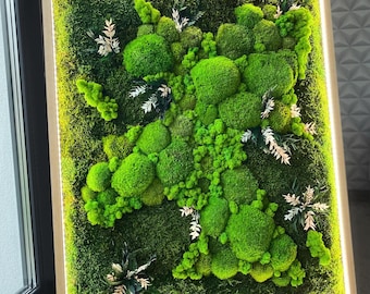 LED Moss Wandkunst gemischte Moose und Trockenblumen | Umweltfreundliche Wanddekoration | Zero Care natürliche hängende Kunst