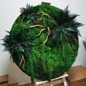 Eternal Wildscape – Moss & Twisted Branch Wall Art for a Living Space