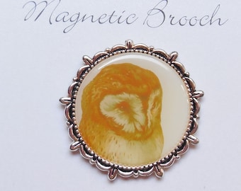 Magnetic Brooch Clip Clasp Pin Button Vintage Style Owl Acrylic Silver Tone Metal Accessory Scarves Shawl
