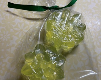 Aloe/Cucumber Set of Two Hand Soaps