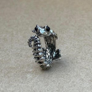 May include: A silver-toned ring shaped like a frog with a textured, bumpy surface and two prominent, smooth black eyes. The frog's body curves to form the band of the ring, with its front legs resting near its head and its back legs tucked below.