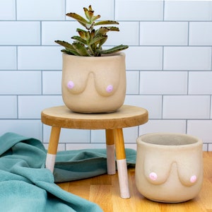 Boobie Cement Planter- Handmade Concrete Pot for Succulents, Cacti & Home Decor