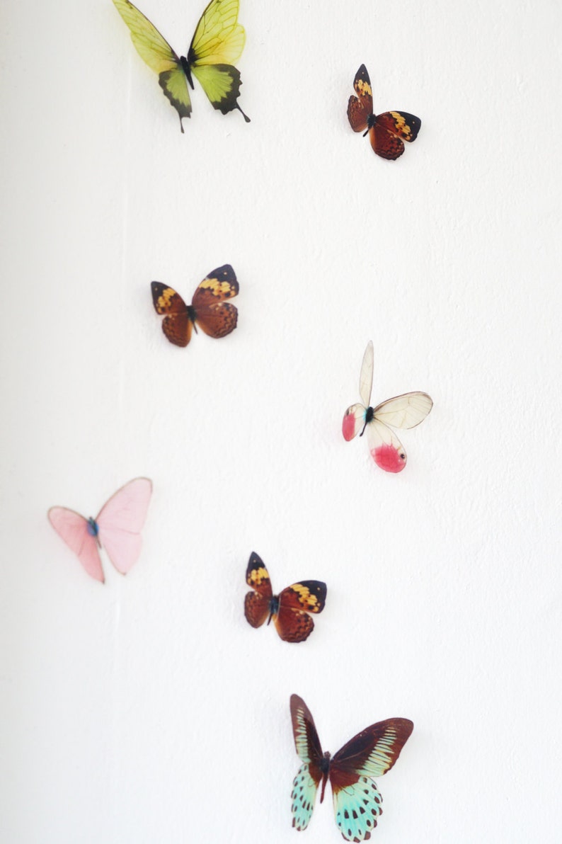 15 3D Rainbow Butterfly wall Art made with plastic image 3