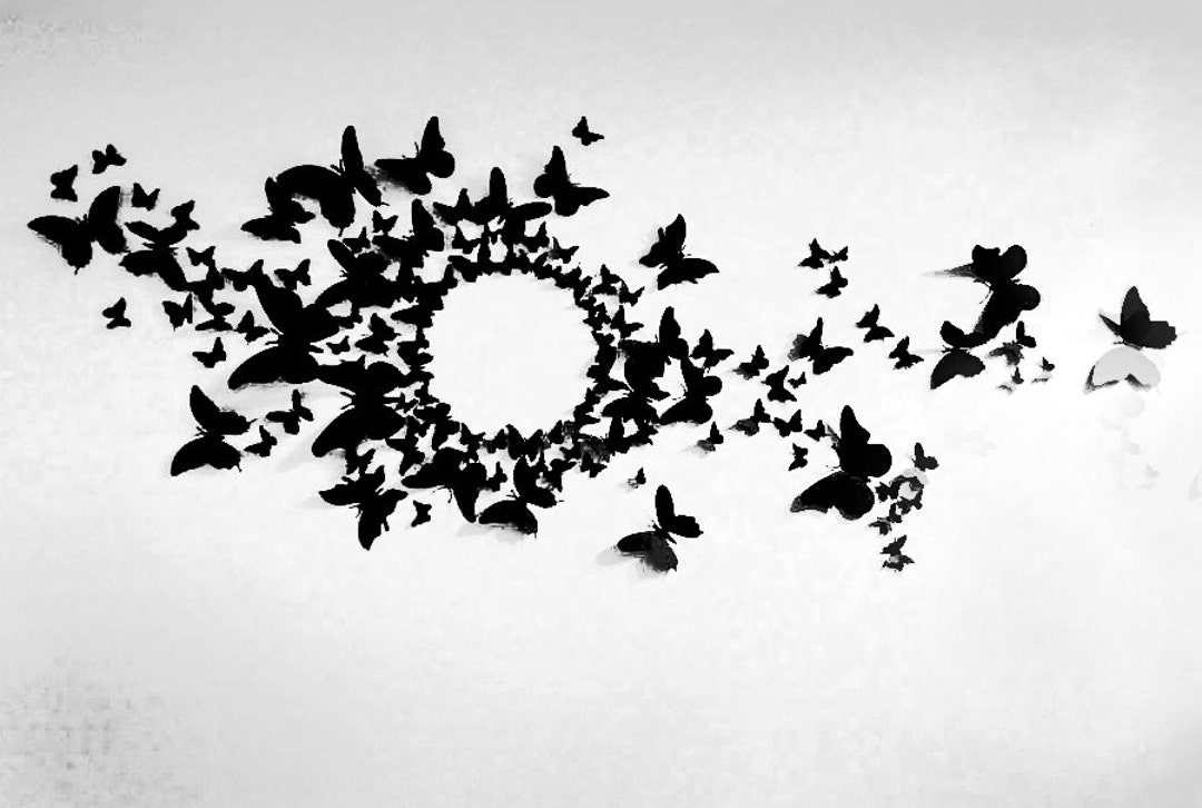 80 3D Butterfly Wall Art Circle Burst Etsy