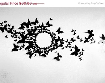 80 3D Butterfly Wall Art Circle Burst