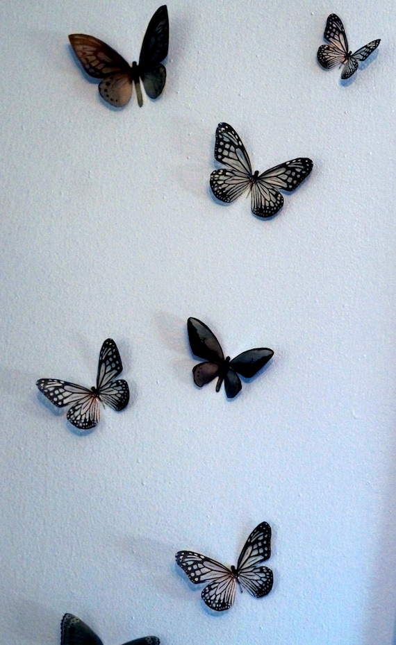 Download K8fpt3grjjwwdm