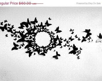 80 3D Butterfly Wall Art Circle Burst