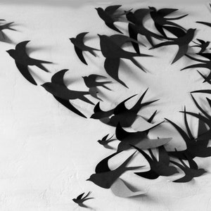 100 3D Bird Wall Art Circle Burst