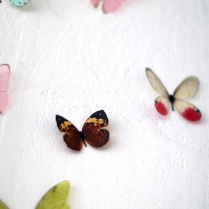 15 3D Rainbow Butterfly wall Art made with plastic image 5