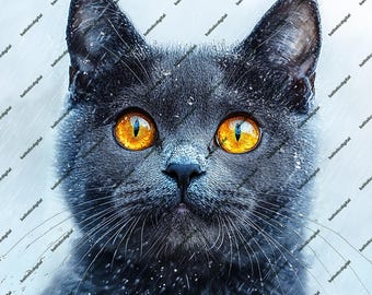 Blauwe Russische kat png