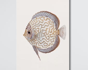 Abstract Blue Discus Fish Wall Art, Tropical Fish Canvas, Modern Aquarium Decor