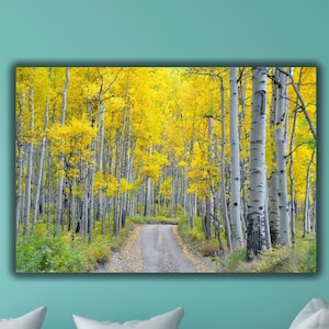 Birke Espe Baum Gelb Leinwand Wand Kunst, Natur Poster, Landschaft Kunst Wald Druck, Birke Espe Foto Baum Bild Weiße Birke