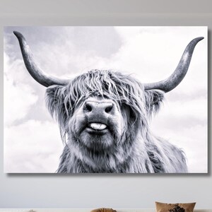 Cow With Tongue Black White Poster Highland Cow Canvas Wall Art Farmhouse Decor Animals Painting Scottish Cow Wall Art Cow Black and White