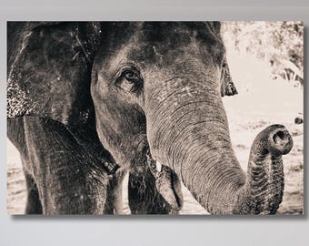 Elephant Canvas Wall Art, Animal Poster, Living Room Print, Gift for Christmas