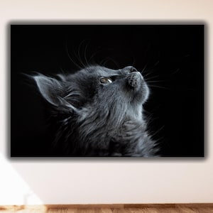 Adorable Animal Cat Canvas Wall Art, Modern Wall Decor, Black Wall Art, Cat Canvas, Trendy Canvas, Cat Lover Gift, Abstract Cat Wall Decor