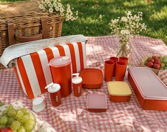 Vintage 1970s Picnic Set Cooler Cups Containers Retro Camping Mod Kitchen