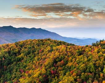 May include: A panoramic view of a mountain range with a forest in the foreground. The trees are a mix of green, yellow, orange, and red, indicating the changing seasons. The mountains in the distance are blue and hazy, suggesting a clear, crisp day.