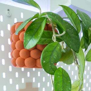 Puede incluir: Una maceta naranja, texturizada, impresa en 3D, con un diseño esférico, montada en una tabla perforada blanca. La maceta contiene una planta verde con hojas grandes y moteadas. El diseño de la maceta está hecho de muchas líneas verticales paralelas.