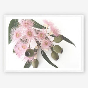 Gum Blossom Print, Gum Leaves Print, Gum Leaf Print, Australian Native Print, Australiana Print, Leaf Print, Australian Botanical Print