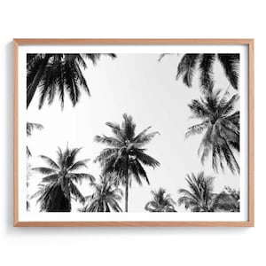 Palm Print, Black and White Palm Tree Photography Print, Palm Trees, Tropical Print, Coconut Palms