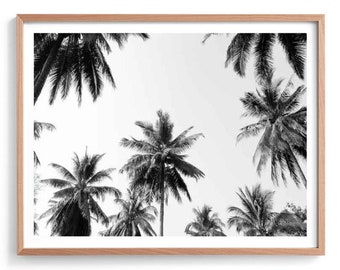 Palm Print, Black and White Palm Tree Photography Print, Palm Trees, Tropical Print, Coconut Palms