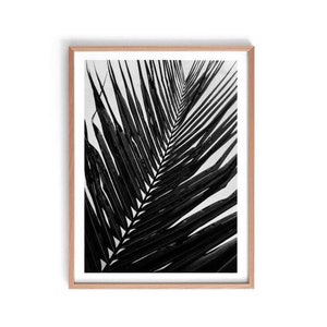 Palm Leaf Print, Black and White Palm Print, Monochrome Palm Wall Art ...