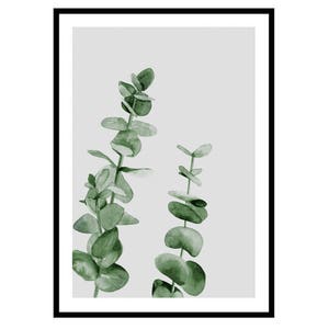 May include: A watercolor painting of two sprigs of eucalyptus leaves on a light gray background. The leaves are a muted green color.