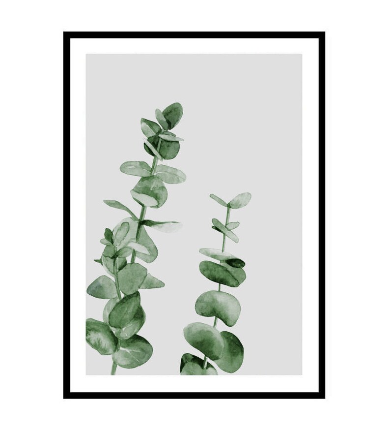 May include: A watercolor painting of two sprigs of eucalyptus leaves on a light gray background. The leaves are a muted green color.