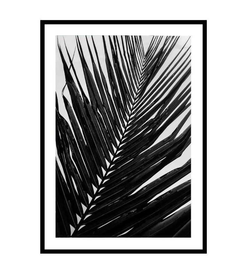 Palm Leaf Print, Black and White Palm Print, Monochrome Palm Wall Art ...
