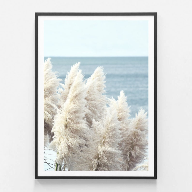 Pampas Grass Print, Pampas Grass Art Print, Pampas Photography Print