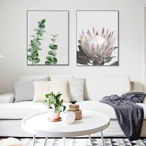 May include: Two framed botanical prints, one with a pink protea flower and the other with green eucalyptus leaves, are displayed on a white wall above a white couch with throw pillows and a blanket.