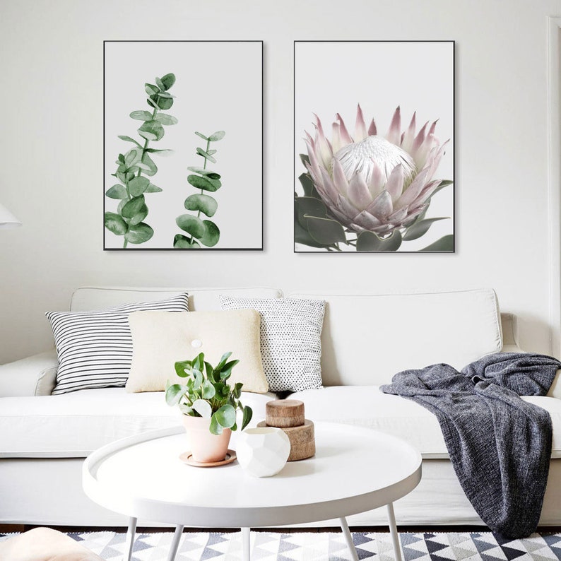 May include: Two framed botanical prints, one with a pink protea flower and the other with green eucalyptus leaves, are displayed on a white wall above a white couch with throw pillows and a blanket.